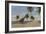 Large Brachiosaurus Roaming an Tropical Climate Landscape-null-Framed Premium Giclee Print