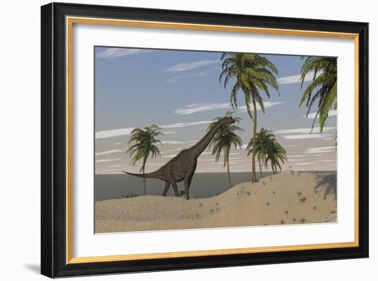 Large Brachiosaurus Roaming an Tropical Climate Landscape-null-Framed Premium Giclee Print