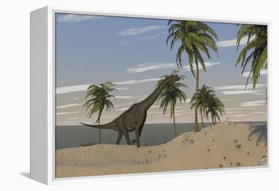 Large Brachiosaurus Roaming an Tropical Climate Landscape-null-Framed Stretched Canvas