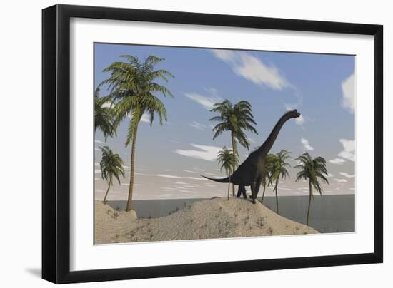 Large Brachiosaurus Roaming an Tropical Climate Landscape-null-Framed Art Print