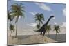 Large Brachiosaurus Roaming an Tropical Climate Landscape-null-Mounted Art Print