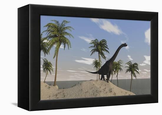 Large Brachiosaurus Roaming an Tropical Climate Landscape-null-Framed Stretched Canvas