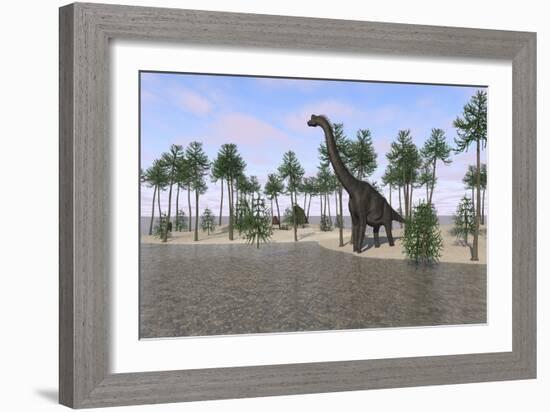 Large Brachiosaurus Standing at the Water's Edge-null-Framed Art Print