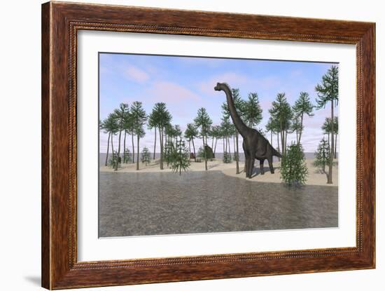 Large Brachiosaurus Standing at the Water's Edge-null-Framed Art Print