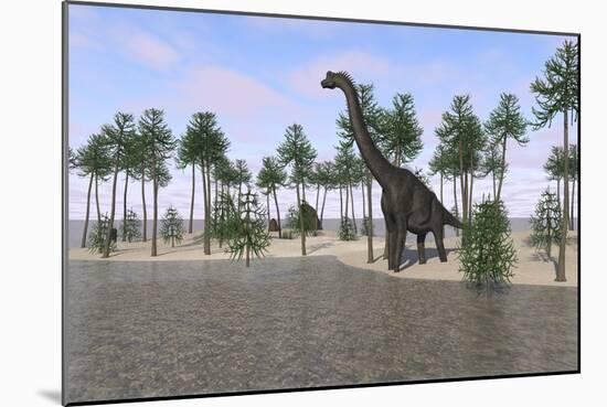 Large Brachiosaurus Standing at the Water's Edge-null-Mounted Art Print