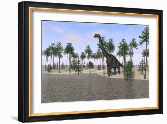 Large Brachiosaurus Standing at the Water's Edge-null-Framed Art Print