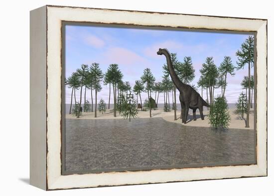 Large Brachiosaurus Standing at the Water's Edge-null-Framed Stretched Canvas