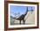 Large Brachiosaurus Standing in a Lake-null-Framed Art Print