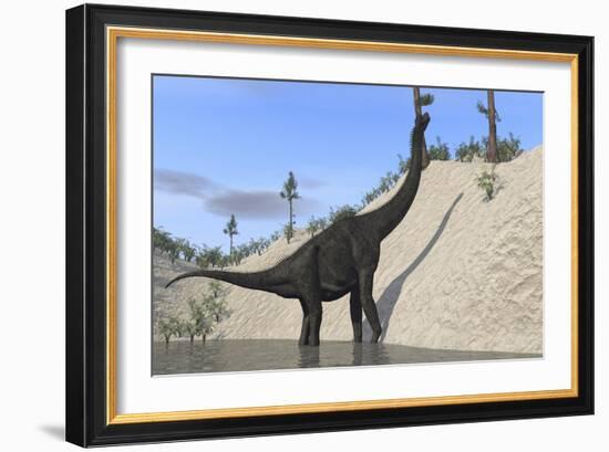 Large Brachiosaurus Standing in a Lake-null-Framed Art Print