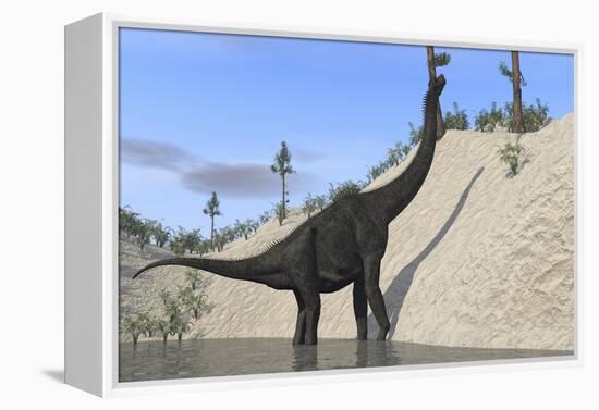 Large Brachiosaurus Standing in a Lake-null-Framed Stretched Canvas