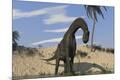 Premium Giclee Print