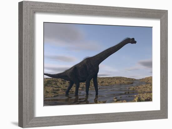 Large Brachiosaurus Walking Along a Dry Riverbed-Stocktrek Images-Framed Art Print
