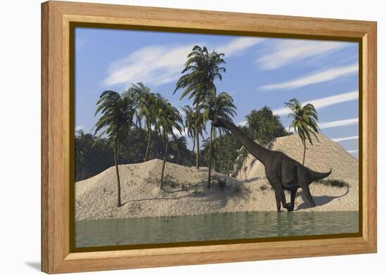 Large Brachiosaurus Walking Along the Water's Edge-null-Framed Stretched Canvas