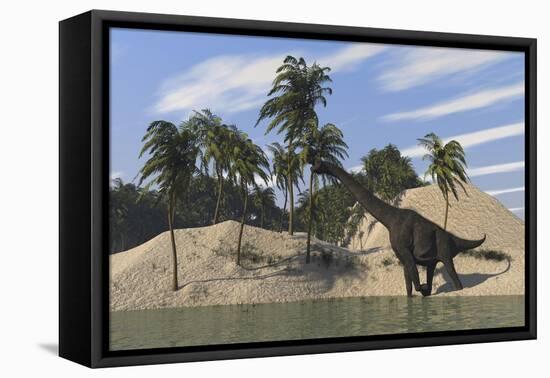 Large Brachiosaurus Walking Along the Water's Edge-null-Framed Stretched Canvas