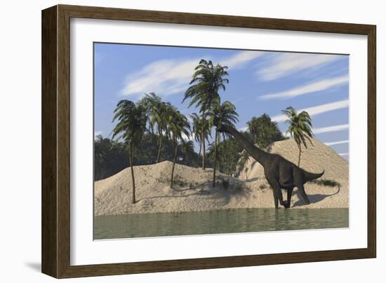 Large Brachiosaurus Walking Along the Water's Edge-null-Framed Art Print