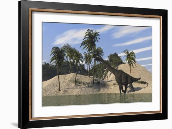 Large Brachiosaurus Walking Along the Water's Edge-null-Framed Art Print