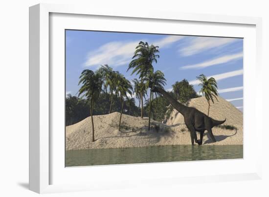 Large Brachiosaurus Walking Along the Water's Edge-null-Framed Art Print