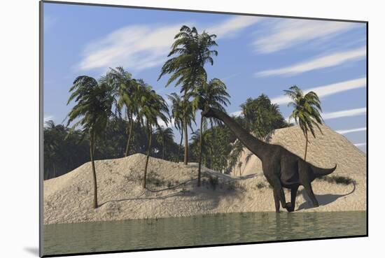 Large Brachiosaurus Walking Along the Water's Edge-null-Mounted Art Print