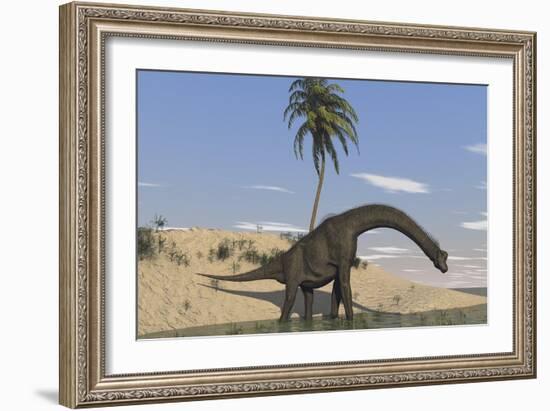 Large Brachiosaurus Walking Along the Water's Edge-null-Framed Art Print