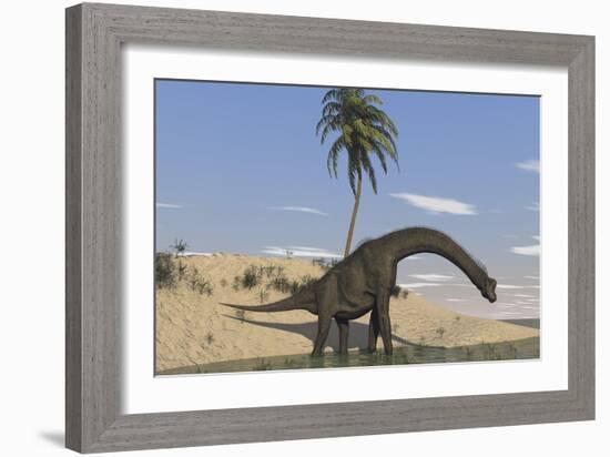 Large Brachiosaurus Walking Along the Water's Edge-null-Framed Art Print