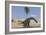 Large Brachiosaurus Walking Along the Water's Edge-null-Framed Art Print