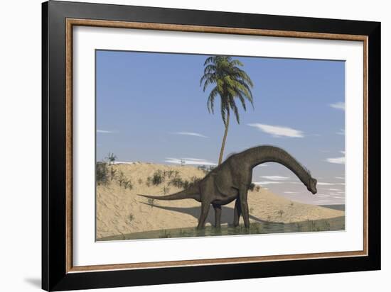 Large Brachiosaurus Walking Along the Water's Edge-null-Framed Art Print