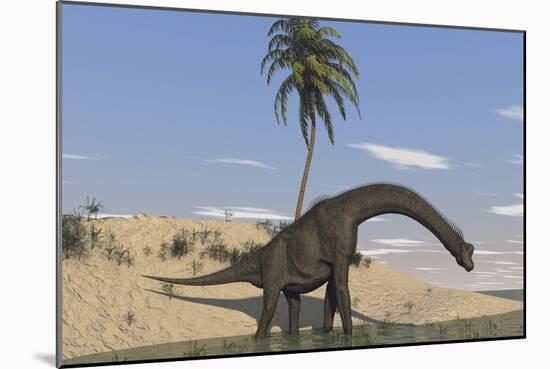 Large Brachiosaurus Walking Along the Water's Edge-null-Mounted Art Print