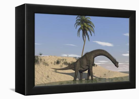 Large Brachiosaurus Walking Along the Water's Edge-null-Framed Stretched Canvas