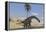 Large Brachiosaurus Walking Along the Water's Edge-null-Framed Stretched Canvas