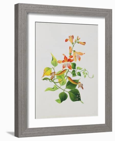 Large Bright Orange Flowers and Large Green Leaves-null-Framed Giclee Print