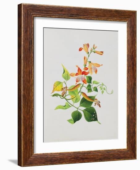 Large Bright Orange Flowers and Large Green Leaves-null-Framed Giclee Print