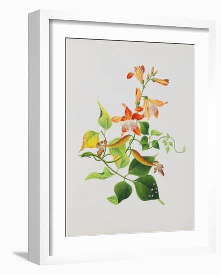 Large Bright Orange Flowers and Large Green Leaves-null-Framed Giclee Print