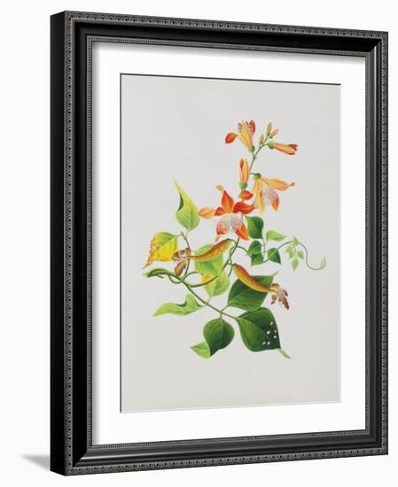 Large Bright Orange Flowers and Large Green Leaves-null-Framed Giclee Print