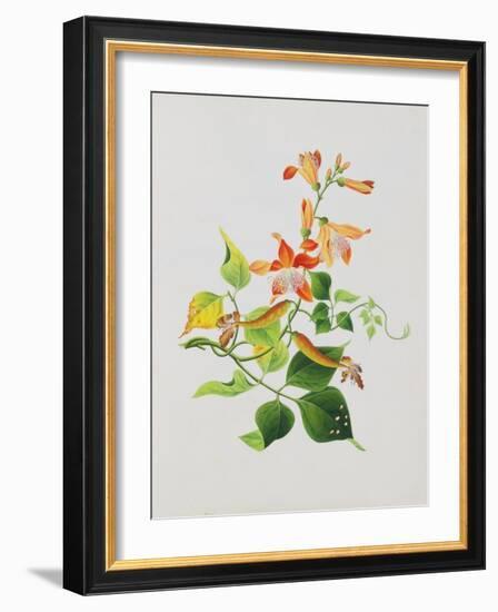 Large Bright Orange Flowers and Large Green Leaves-null-Framed Giclee Print