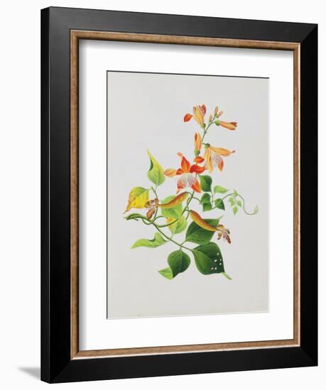 Large Bright Orange Flowers and Large Green Leaves-null-Framed Giclee Print