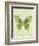 Large Butterfly-Bee Sturgis-Framed Art Print