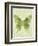 Large Butterfly-Bee Sturgis-Framed Art Print