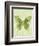 Large Butterfly-Bee Sturgis-Framed Art Print