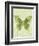 Large Butterfly-Bee Sturgis-Framed Art Print