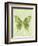 Large Butterfly-Bee Sturgis-Framed Art Print