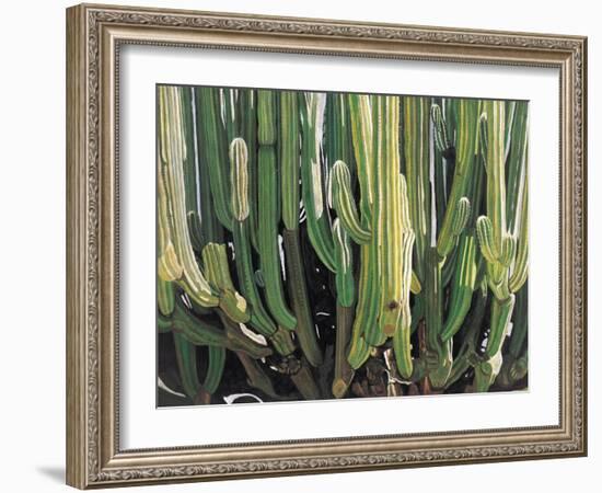 Large Candelabro Cactus in Oaxaca, 2003-Pedro Diego Alvarado-Framed Giclee Print