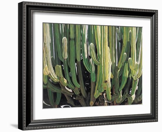 Large Candelabro Cactus in Oaxaca, 2003-Pedro Diego Alvarado-Framed Giclee Print