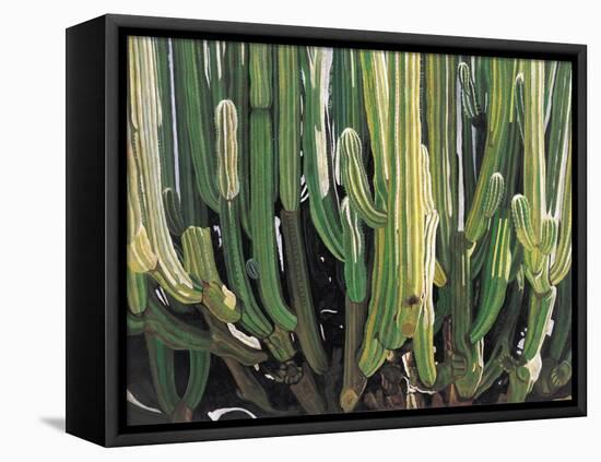 Large Candelabro Cactus in Oaxaca, 2003-Pedro Diego Alvarado-Framed Premier Image Canvas