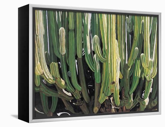 Large Candelabro Cactus in Oaxaca, 2003-Pedro Diego Alvarado-Framed Premier Image Canvas