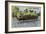 Large Central African War Canoe-null-Framed Giclee Print