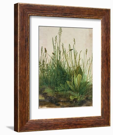 Large clump of turf-Das grosse Rasenstueck. Watercolour and tempera on paper. 1503-Albrecht Dürer-Framed Giclee Print