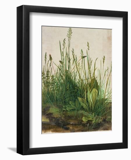 Large clump of turf-Das grosse Rasenstueck. Watercolour and tempera on paper. 1503-Albrecht Dürer-Framed Giclee Print