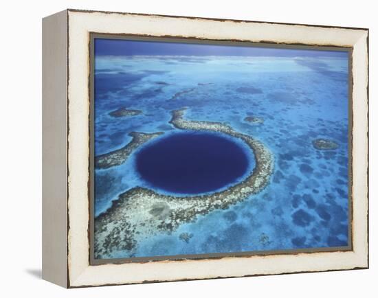 Large Coral Reefs off the Coast of Belize-Greg Johnston-Framed Premier Image Canvas