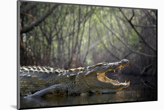 Large Crocodile, National Park, Sri Lanka-Volodymyr Burdiak-Mounted Photographic Print