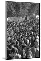 Large crowd demonstrate against the Vietnam war in Washington, D.C., 21 Oct. 1967-Warren K. Leffler-Mounted Premium Photographic Print